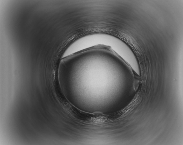 X0000096190120200802081528