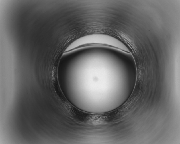 X0000096190121200802081528