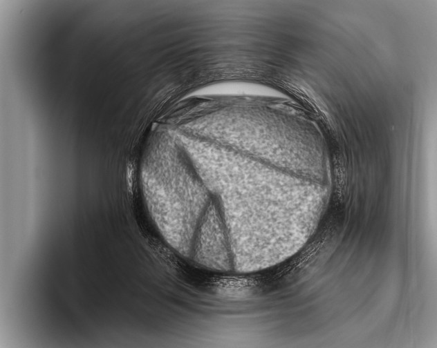 X0000096190123200802081528