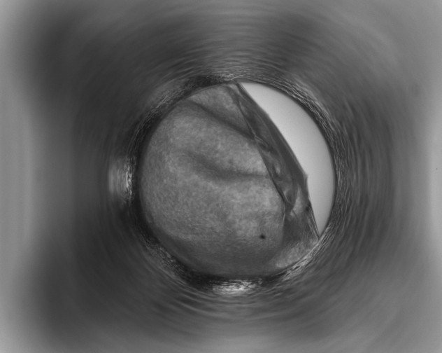 X0000096190124200802081528