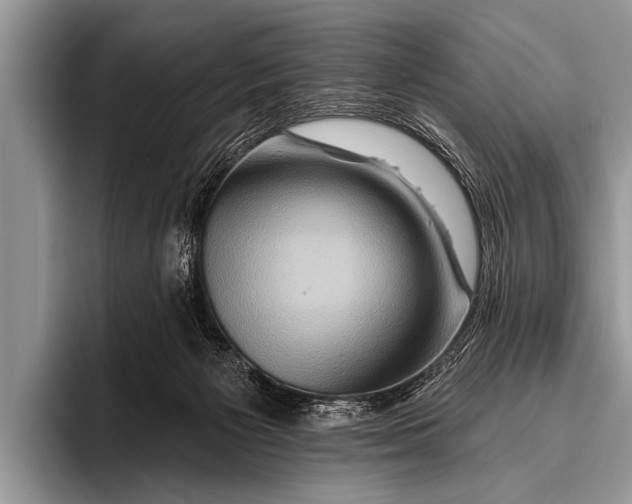 X0000096190125200802081528