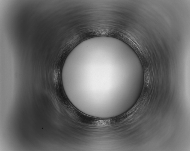 X0000096190126200802081528