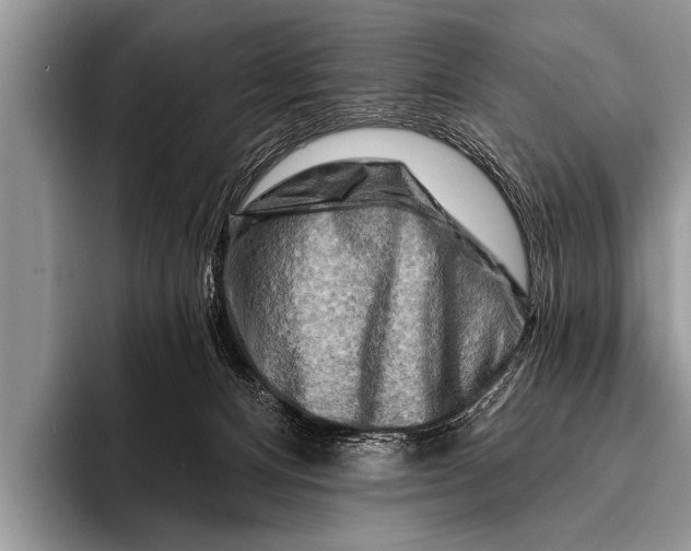 X0000096190128200802081528