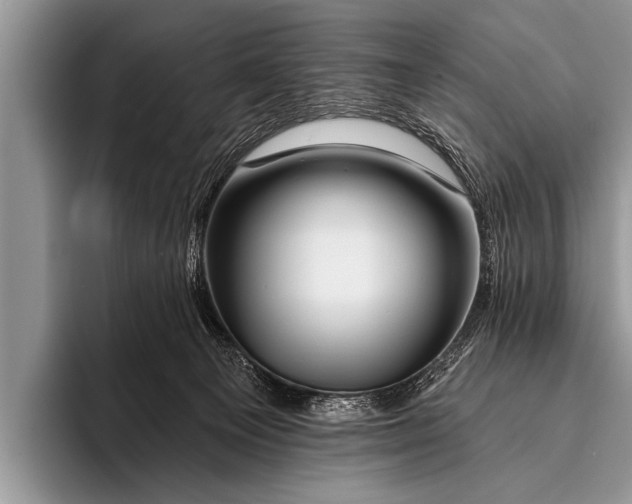 X0000096190129200802081528