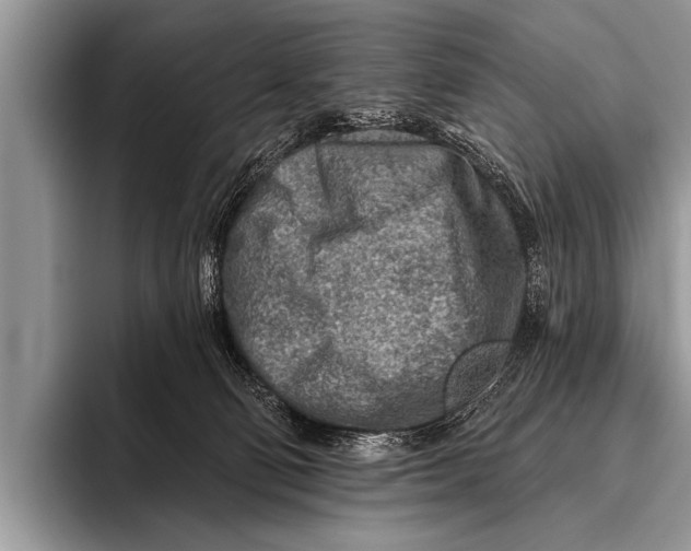 X0000096190130200802081528