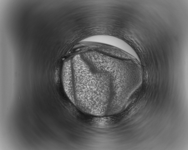 X0000096190131200802081528