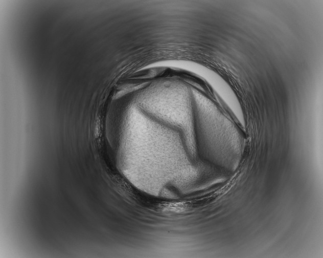 X0000096190132200802081528