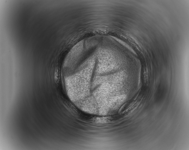 X0000096190134200802081527