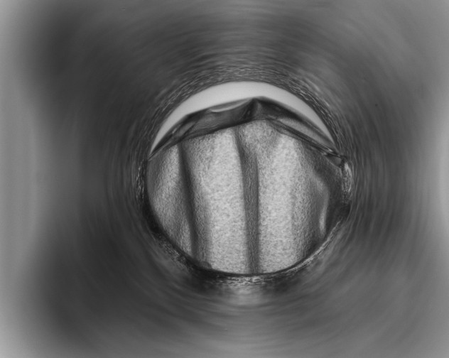 X0000096190136200802081527