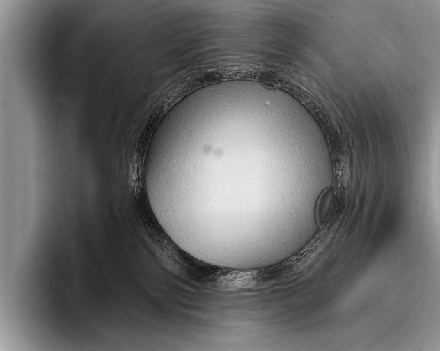 X0000096190138200802081527