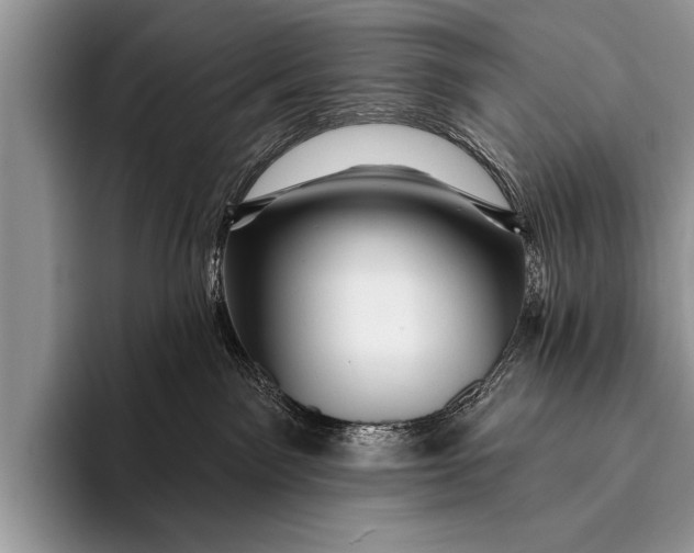 X0000096190141200802081527