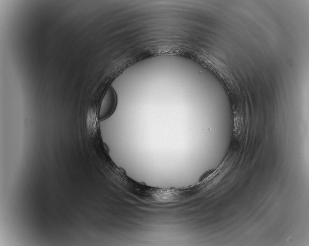 X0000096190142200802081527