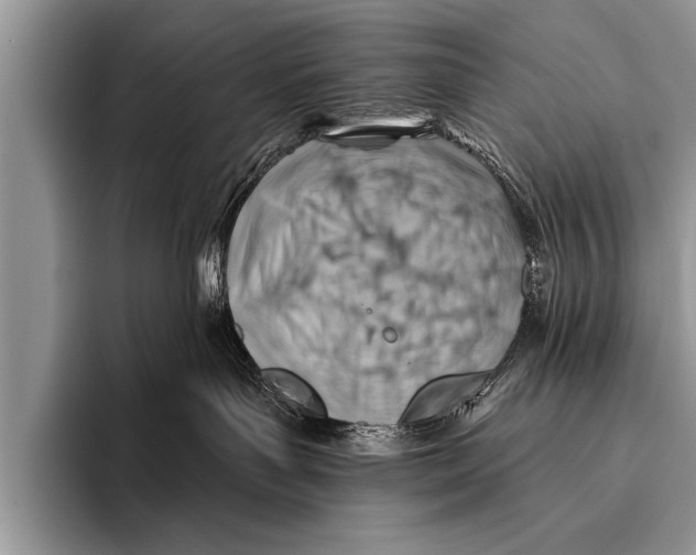 X0000096190143200802081527