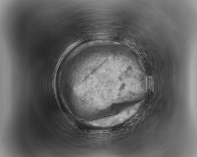 X0000096190147200802081527