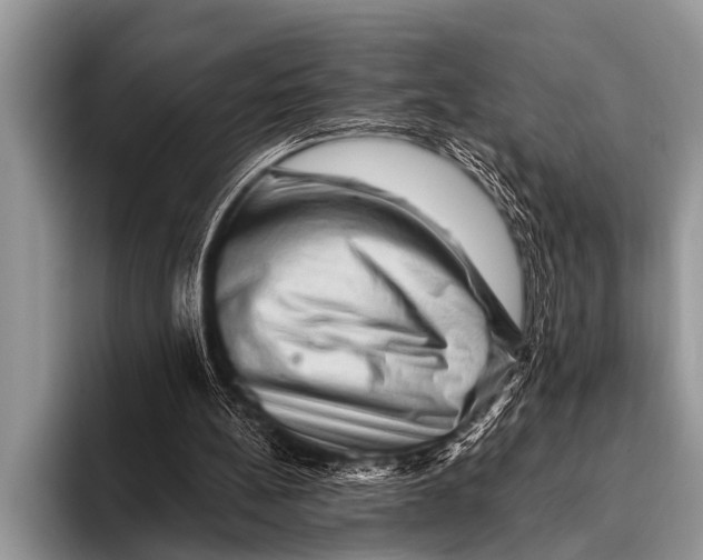 X0000096190148200802081527