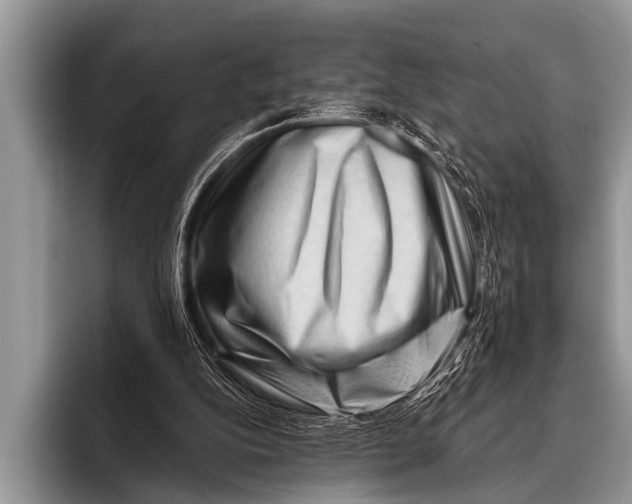 X0000096190152200802081527