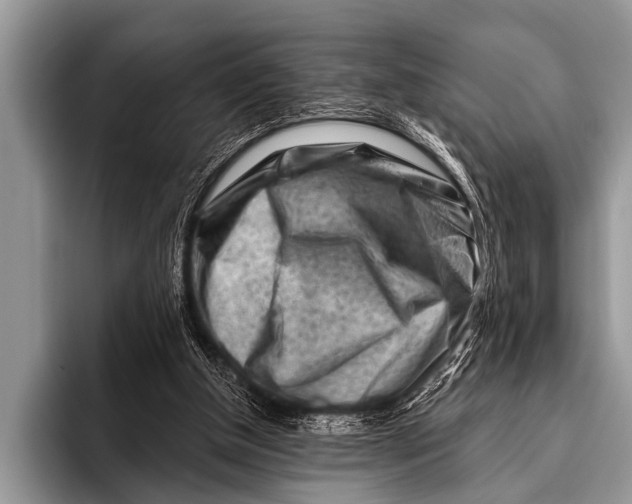 X0000096190154200802081527