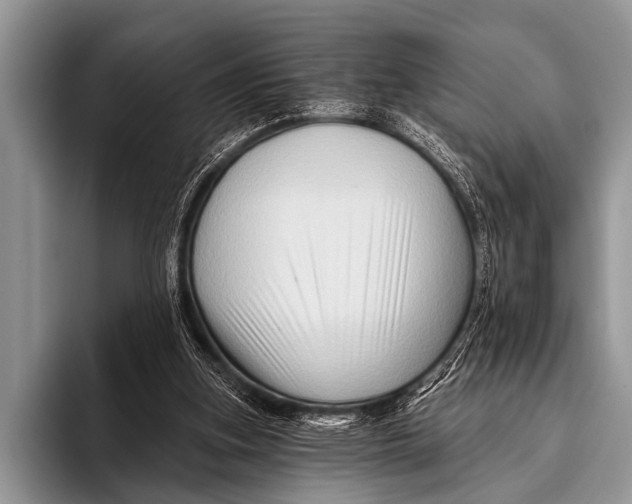 X0000096190155200802081527