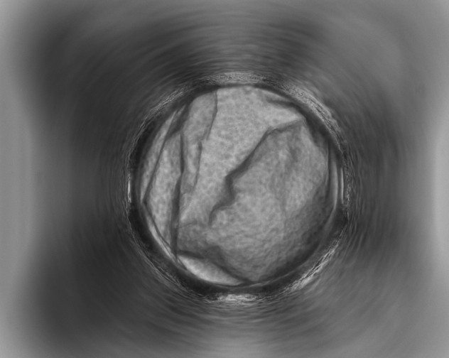 X0000096190157200802081527