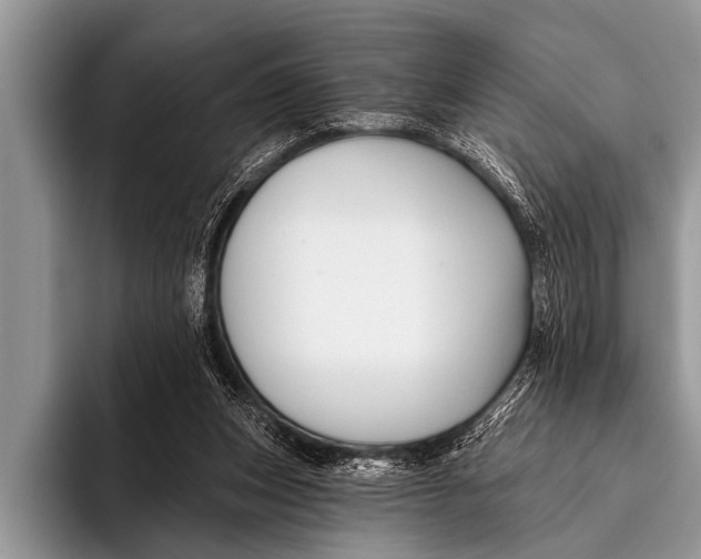 X0000096190159200802081527