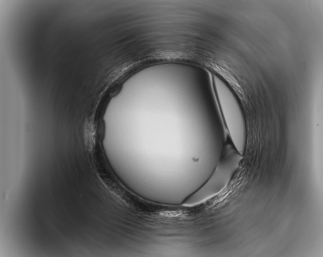 X0000096190160200802081527