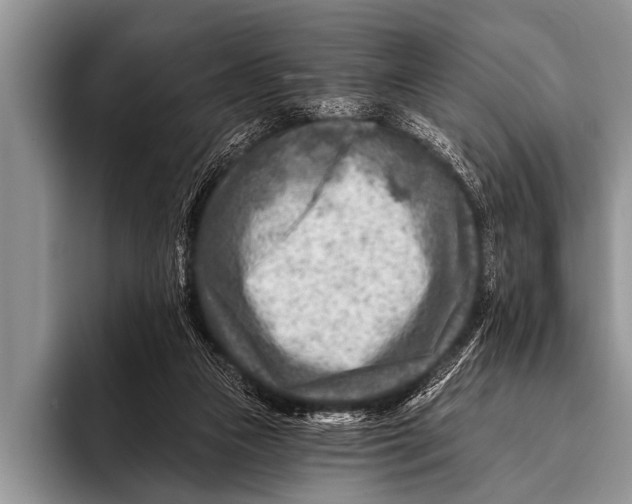 X0000096190161200802081527