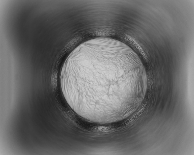 X0000096190163200802081527