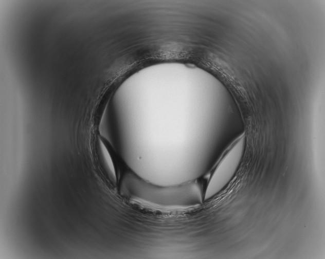 X0000096190164200802081527