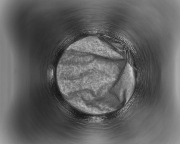 X0000096190166200802081527