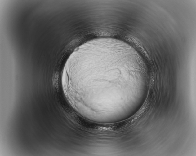 X0000096190167200802081527