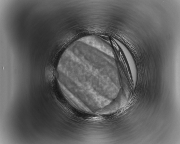 X0000096190168200802081527