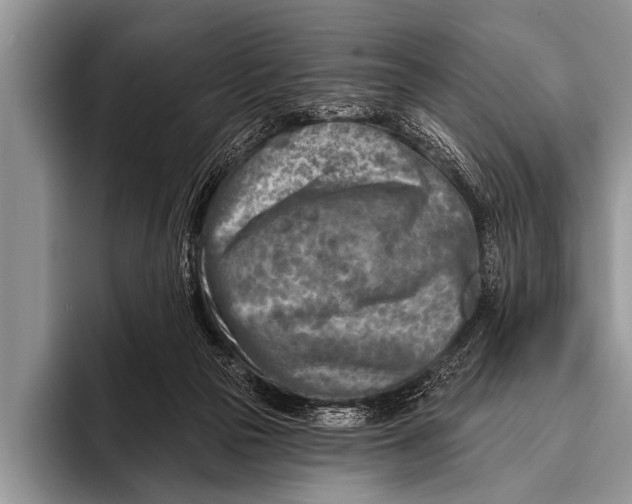 X0000096190169200802081527