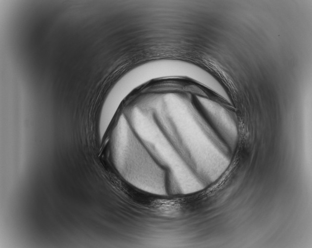 X0000096190170200802081527