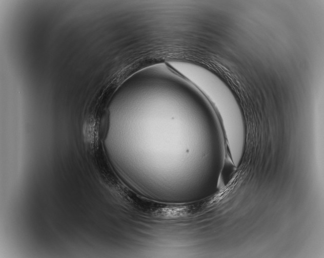 X0000096190172200802081527