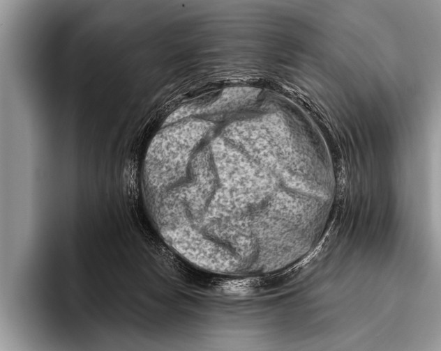 X0000096190178200802081527