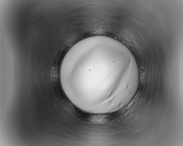 X0000096190179200802081527