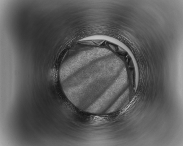 X0000096190180200802081527