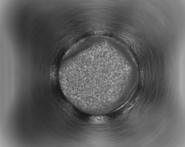 X0000096190181200802081527