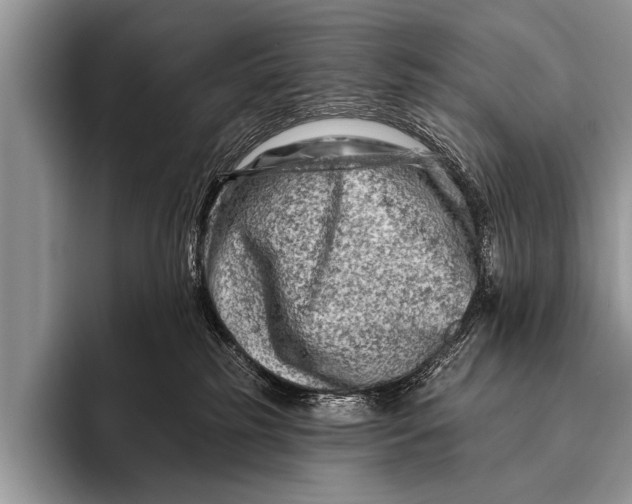 X0000096190185200802081527