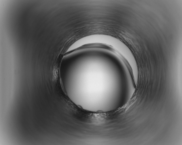 X0000096190188200802081527