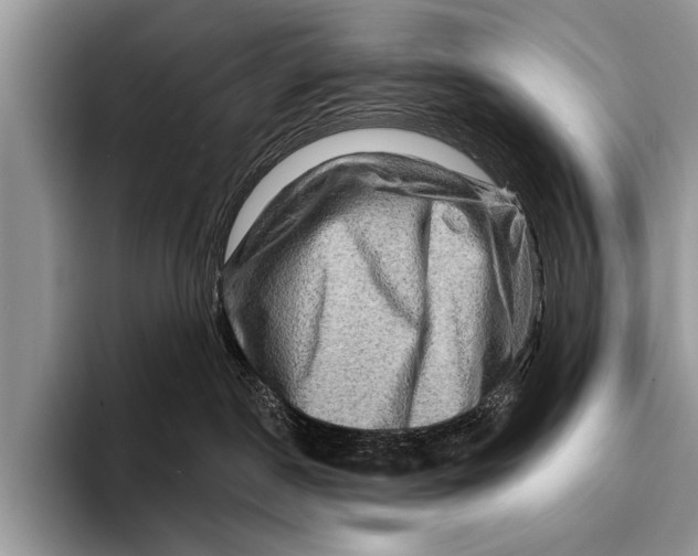 X0000096190190200802081527