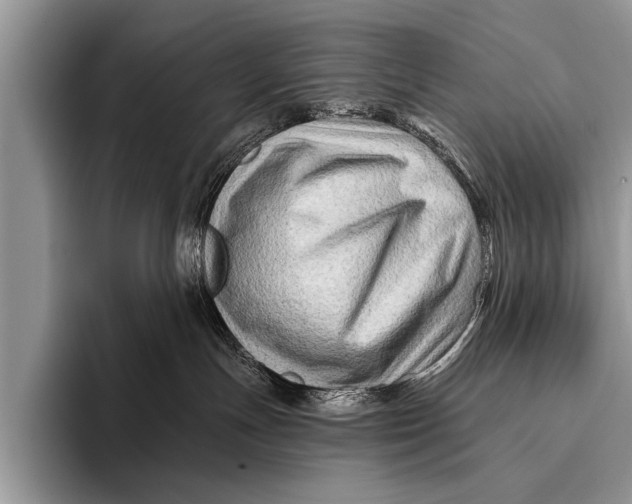 X0000096190191200802081527