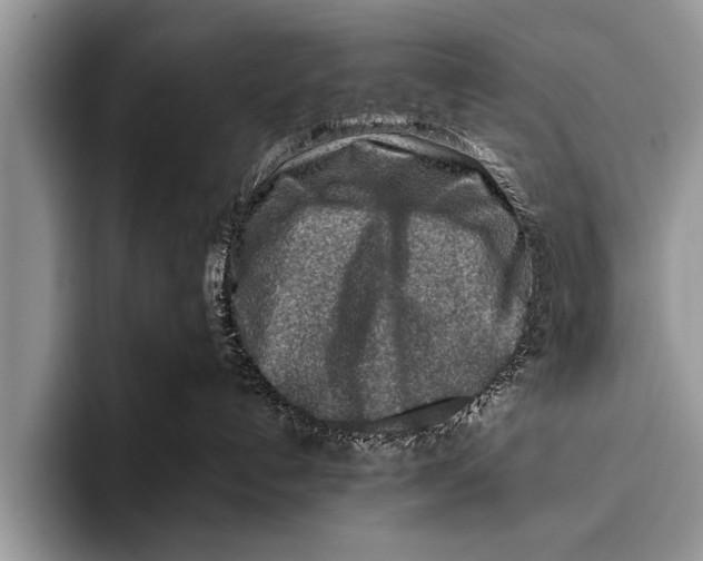 X0000096190192200802081527