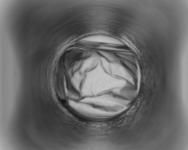 X0000096190193200802081527