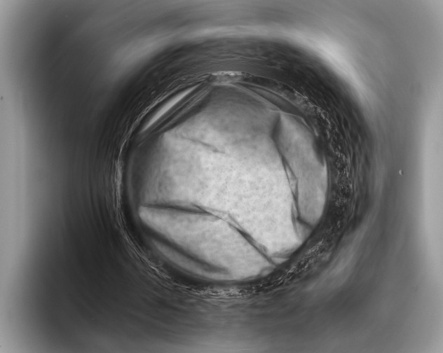 X0000096190194200802081527