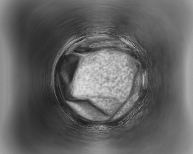 X0000096190195200802081527