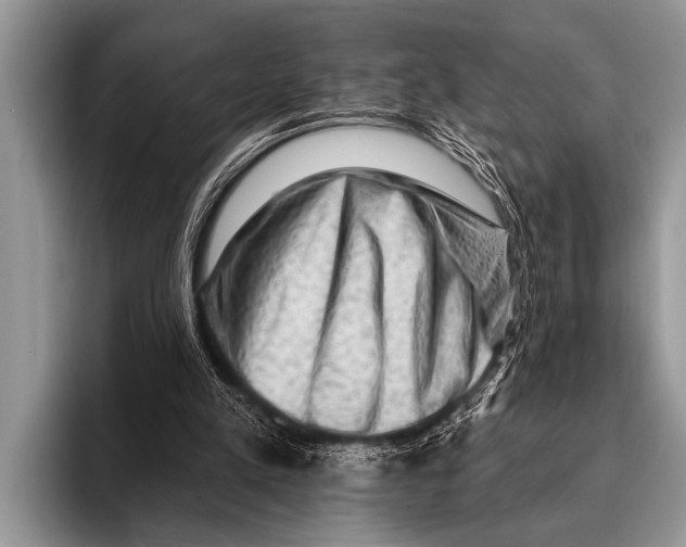 X0000096190197200802081527