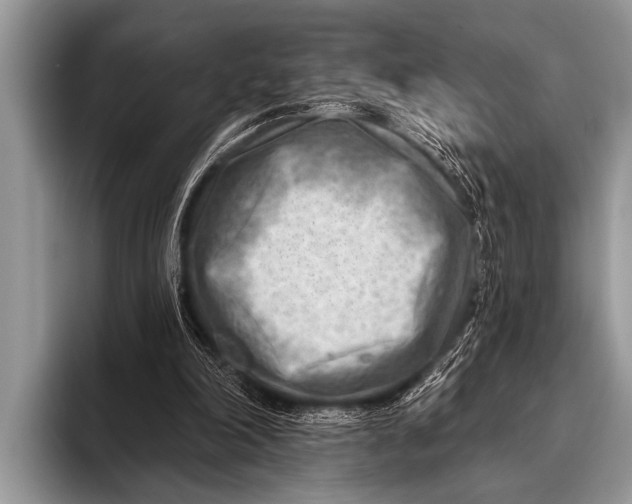 X0000096190198200802081527