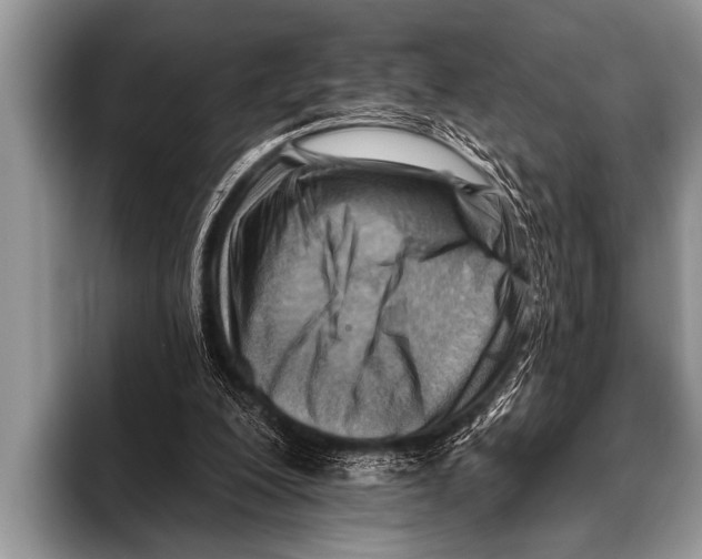 X0000096190200200802081527