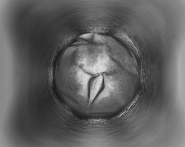 X0000096190202200802081527